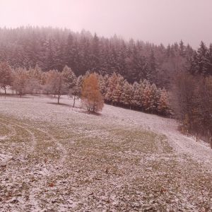 20161109 095007