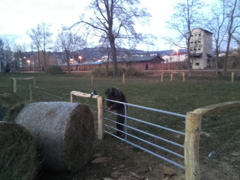 35. Ve Vrchlabí