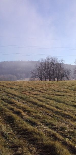 20161125 103545