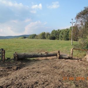 DSCN3119