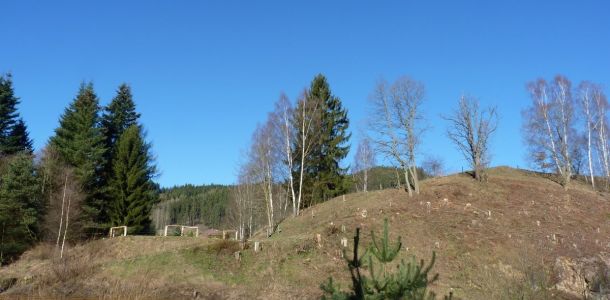 P1110310