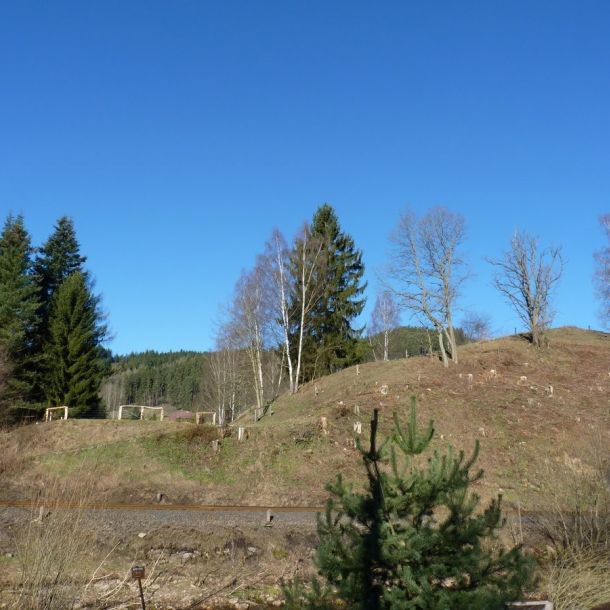 P1110310