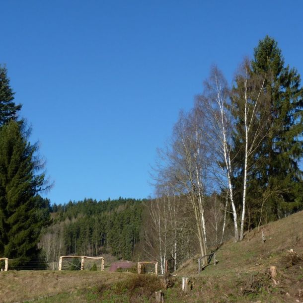 P1110311