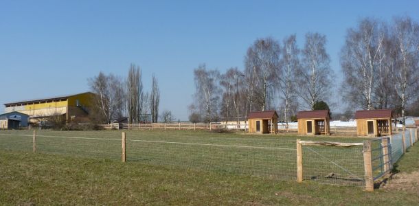 P1090488