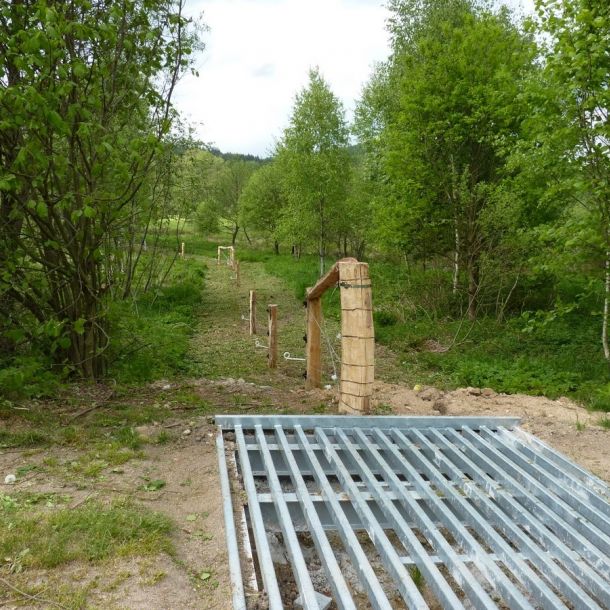 P1090852