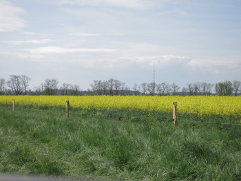 6. Střemy u Mělníka