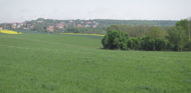 IMG 3370