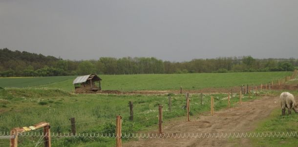IMG 3424