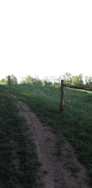 IMG 3434