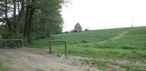 IMG 3521