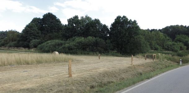 IMG 3726