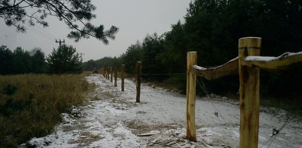 DSC01748