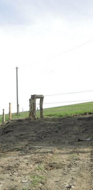 IMG 4269