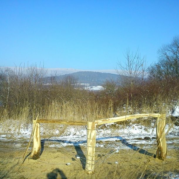 DSC01241