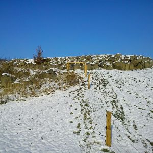 DSC01245