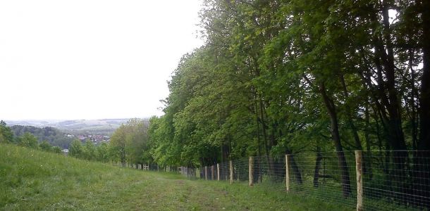 DSC01555