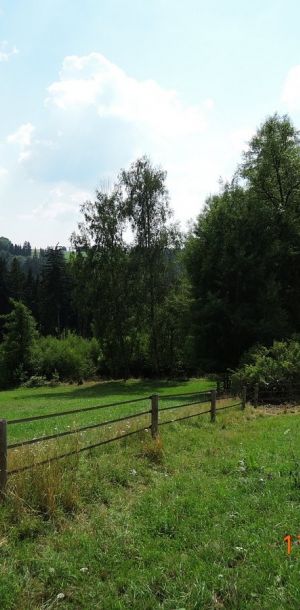 DSCN0043