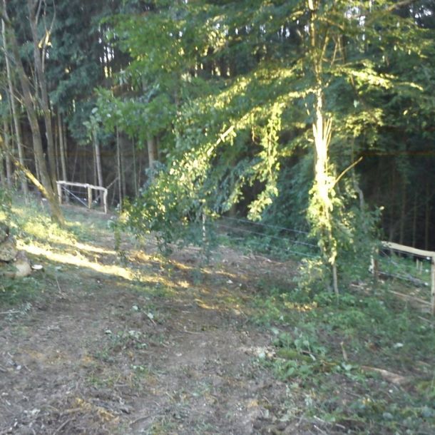DSC00503