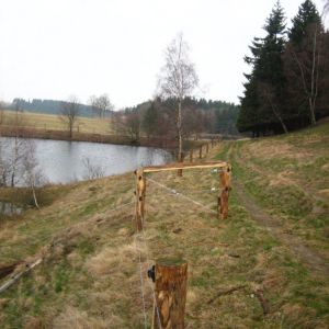 IMG 7648