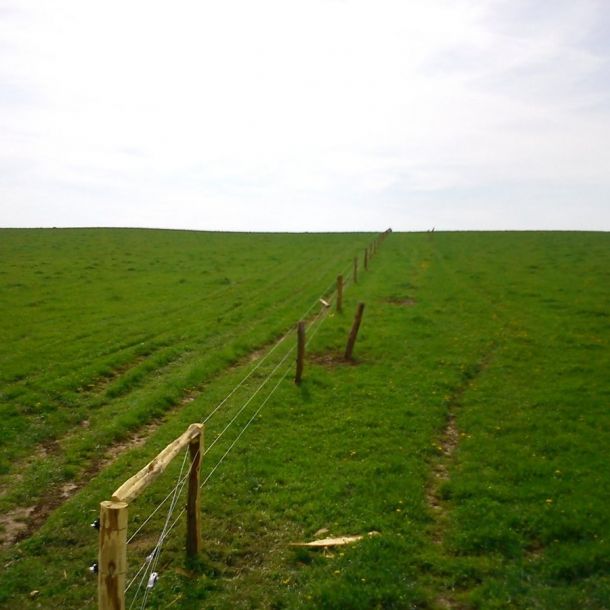 DSC00288