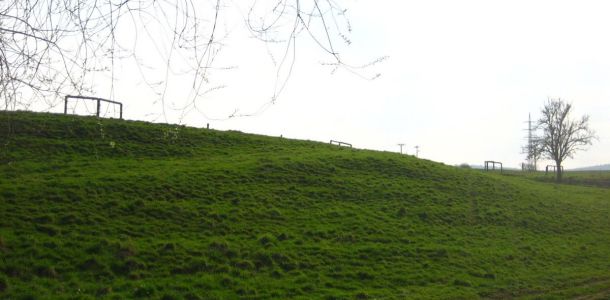 IMG 7726