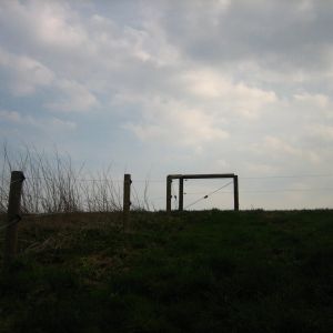 IMG 7738