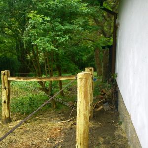DSC00342
