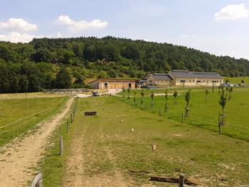 14. Dubová Hora