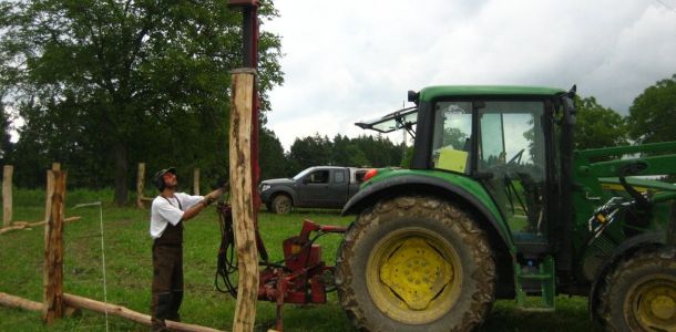 IMG 7844