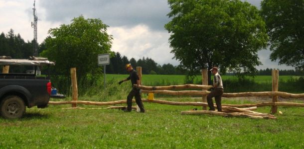 IMG 7854