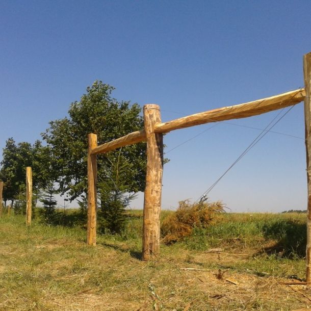 Fotografie 0031