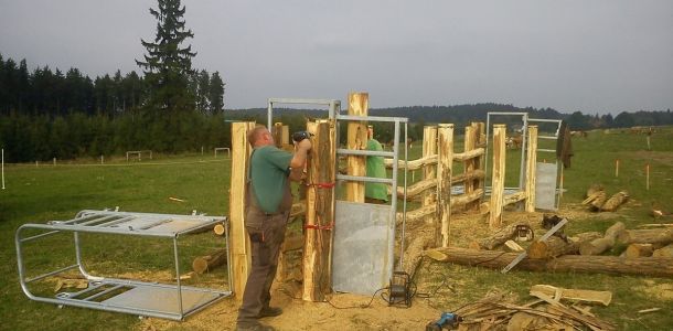 DSC00732