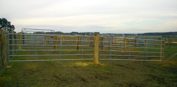 DSC00883
