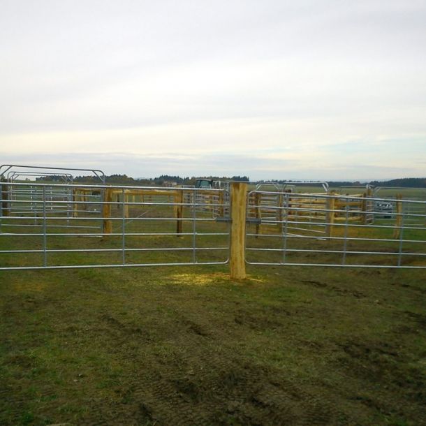 DSC00883