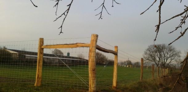 Fotografie 0374