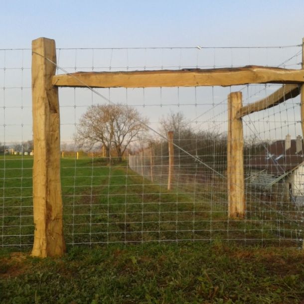 Fotografie 0377