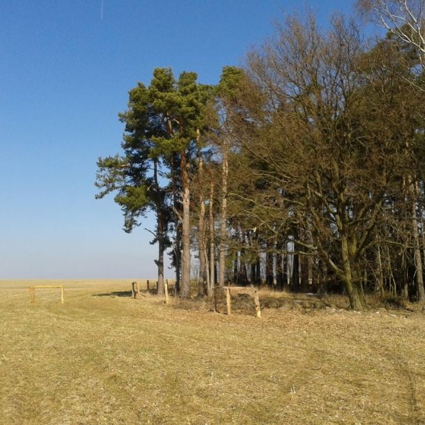 Fotografie 0010  2 