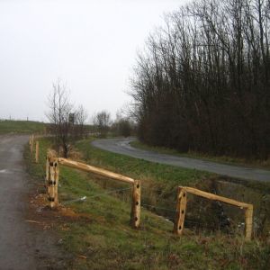 IMG 9677