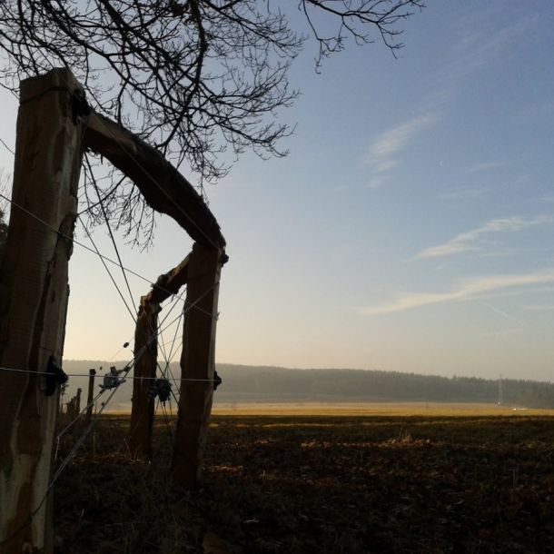Fotografie 0017.
