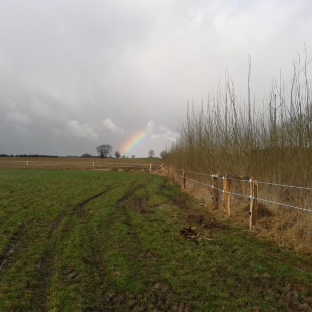 Fotografie 0050