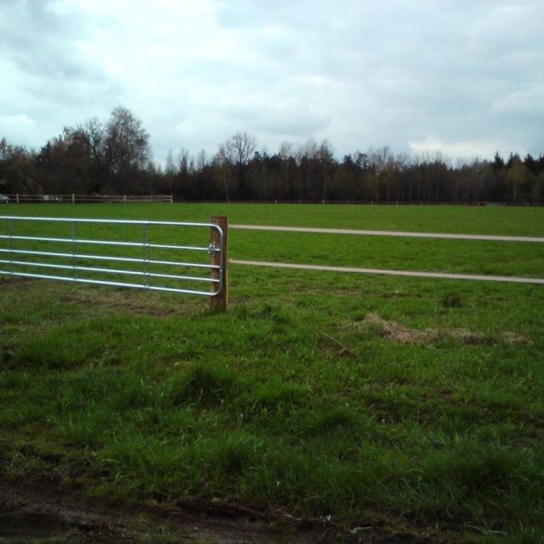 DSC00710