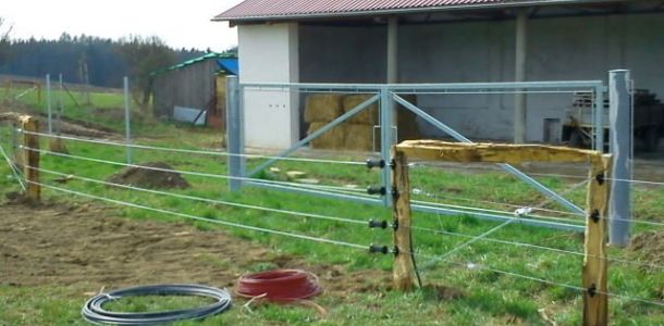 DSC00862