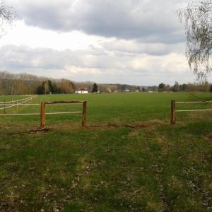 Fotografie 0051