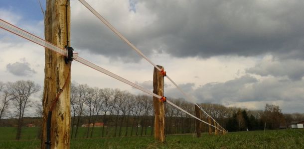 Fotografie 0055
