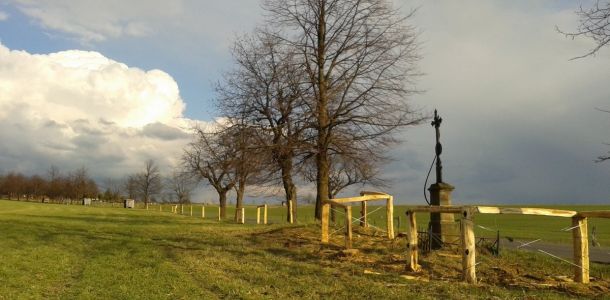 Fotografie 0052  2 