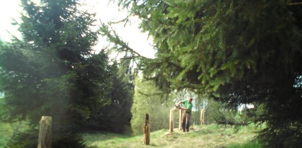 DSC00744