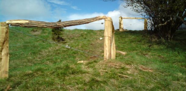 DSC00763