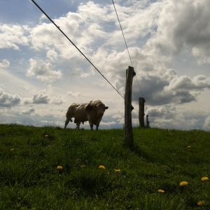 Fotografie 0165