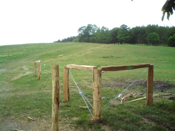 14. V Krásně pod plavebním kanálem 2012