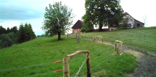 DSC00798